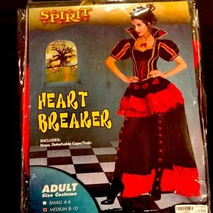 Adult heart breaker costume